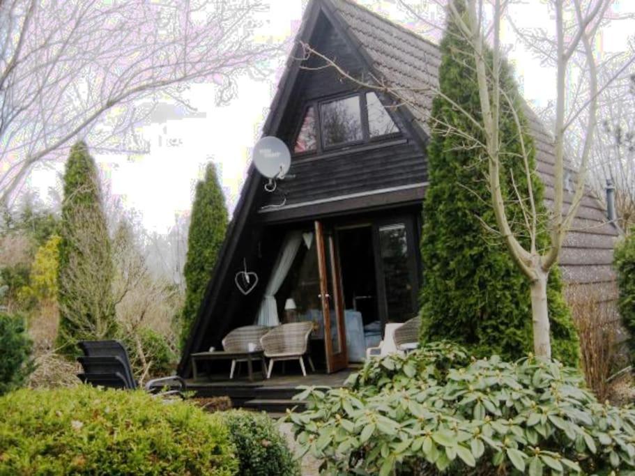Faßberg Nurdachhaus Mit Kaminofen Und Grossem Grundstueckヴィラ エクステリア 写真